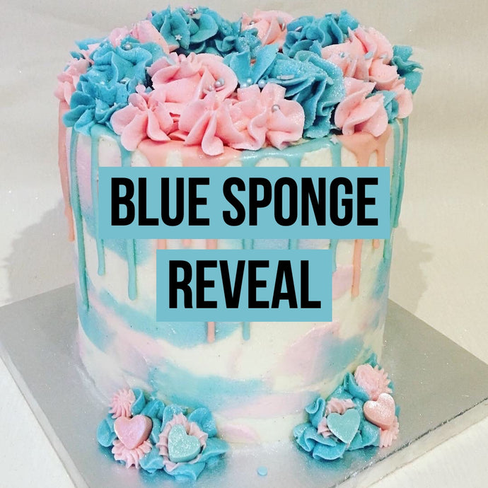 Blue Sponge Reveal